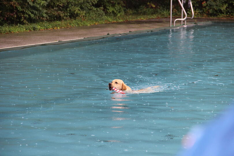 Spielzeug erfolgreich aus dem Wasser geholt.