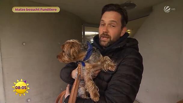 Matthias Killing konnte den kleinen Hund aus dem Tierheim Berlin nicht mehr vergessen.