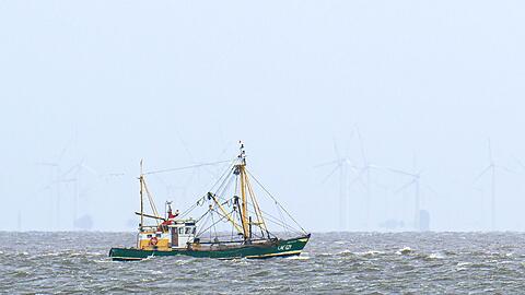 Krabbenfischer verlieren vor Gericht (Foto-aktuell).
